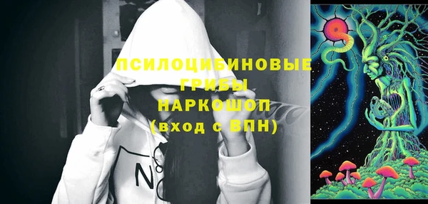 мдма Няндома