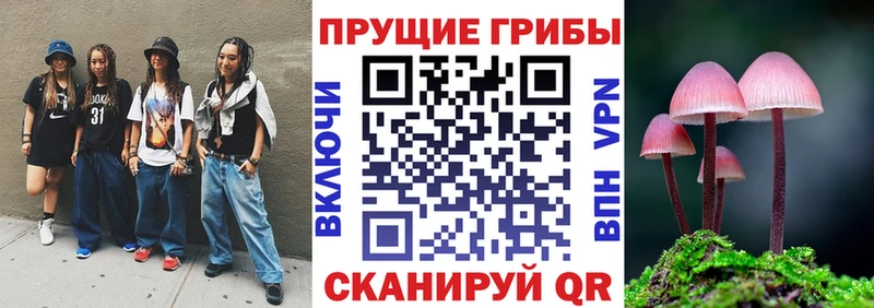 купить наркоту  Разумное  Галлюциногенные грибы прущие грибы 