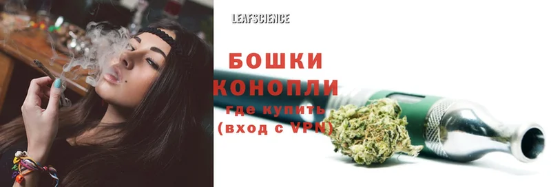 Конопля Bruce Banner  Разумное 